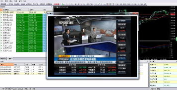 現貨交易軟件首選GTS軟件，公司主推產品優惠多多，欲購從速